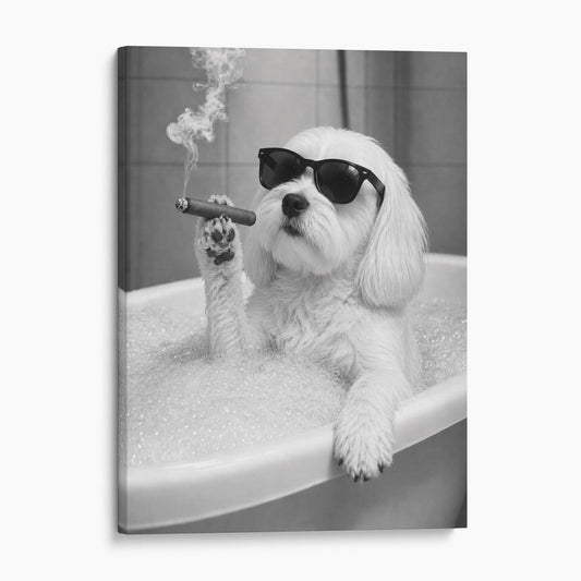 Maltese Dog Bathtub Cigar
