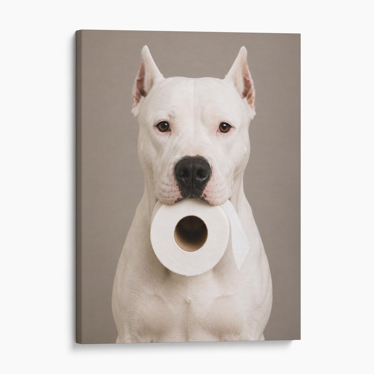 Dogo Argentino Toilet Paper