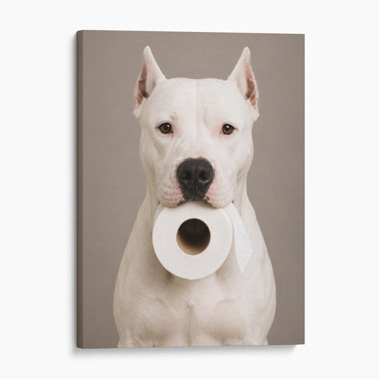 Dogo Argentino Toilet Paper