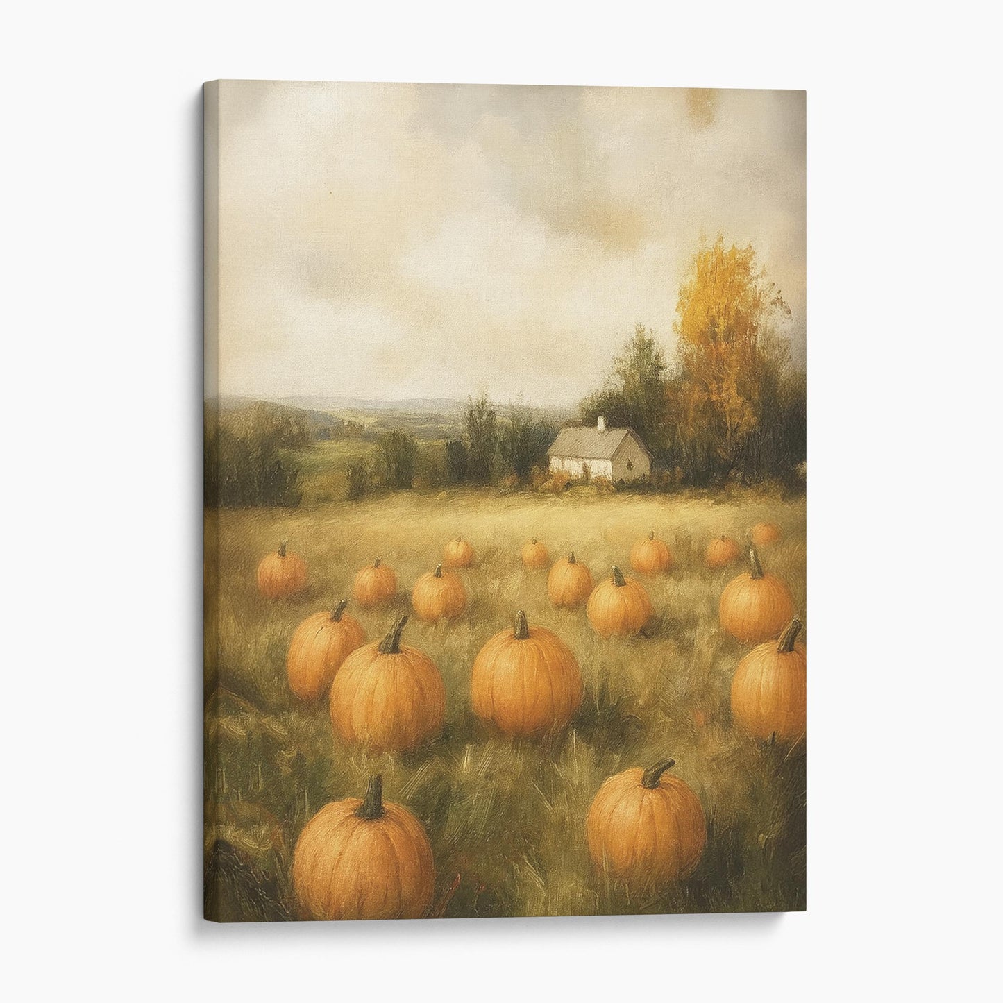 Pumpkin Field Landscape