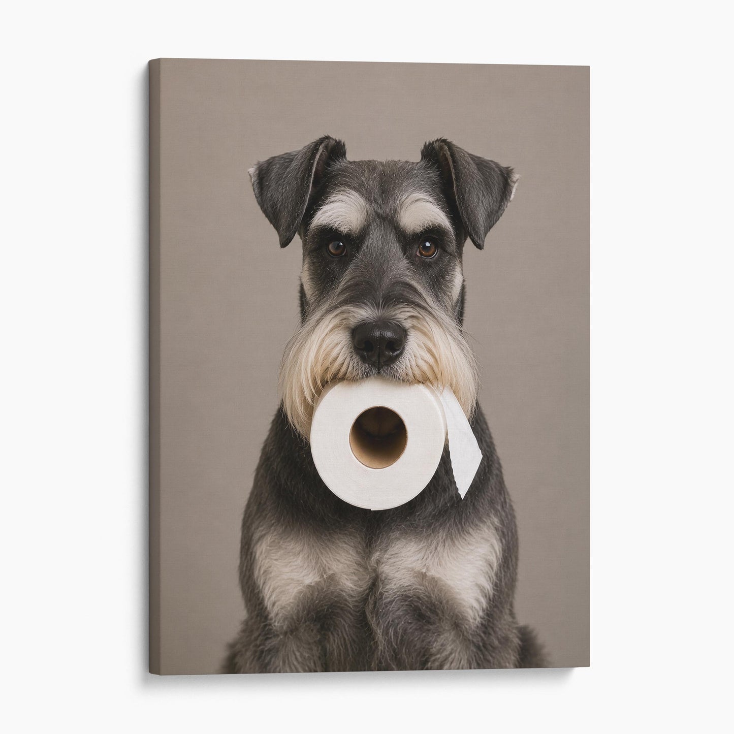 Standard Schnauzer Dog Toilet Paper