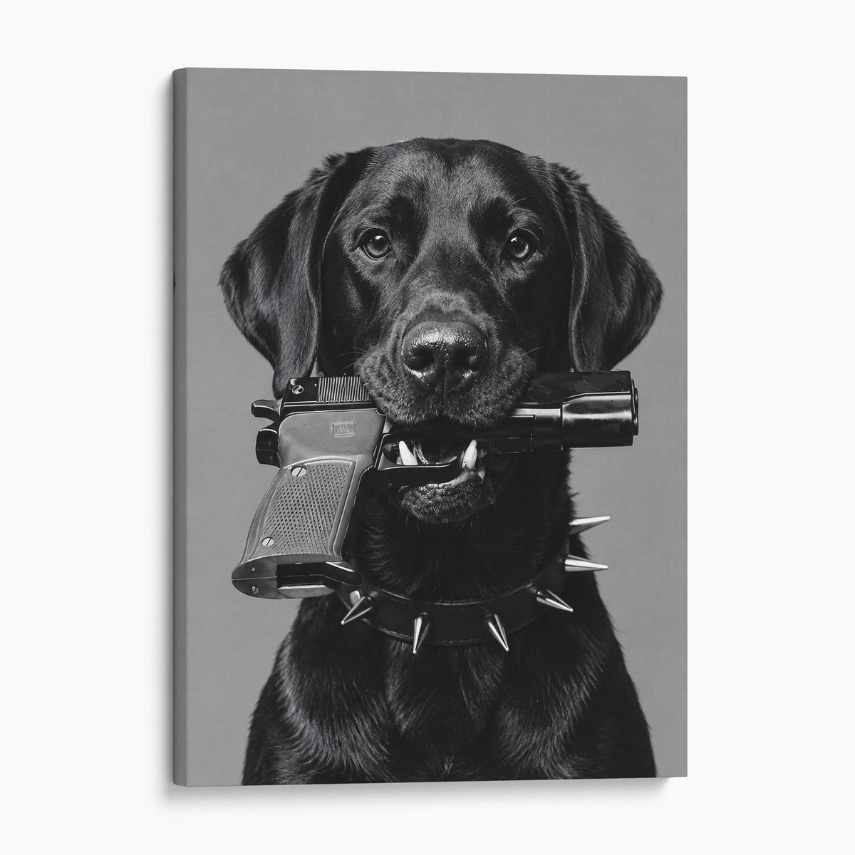 Black Labrador Gun In Mouth