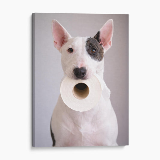 Bull Terrier Dog Toilet Paper