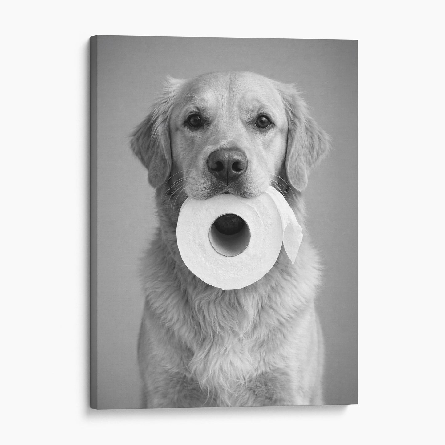Golden Retriever Dog Toilet Paper