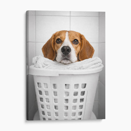 Beagle Dog Laundry