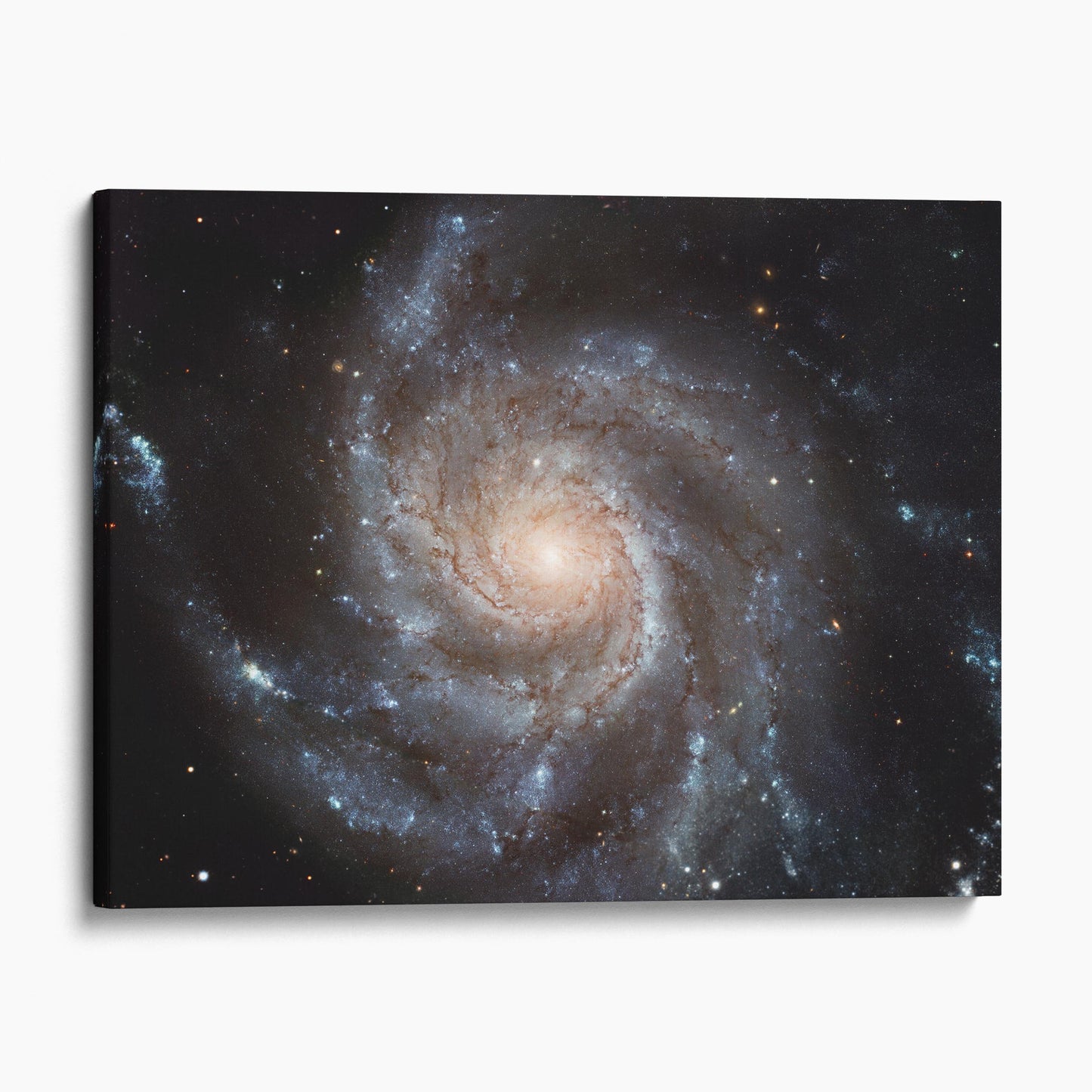 Big, Beautiful Spiral, Messier 101 (Pinwheel Galaxy)
