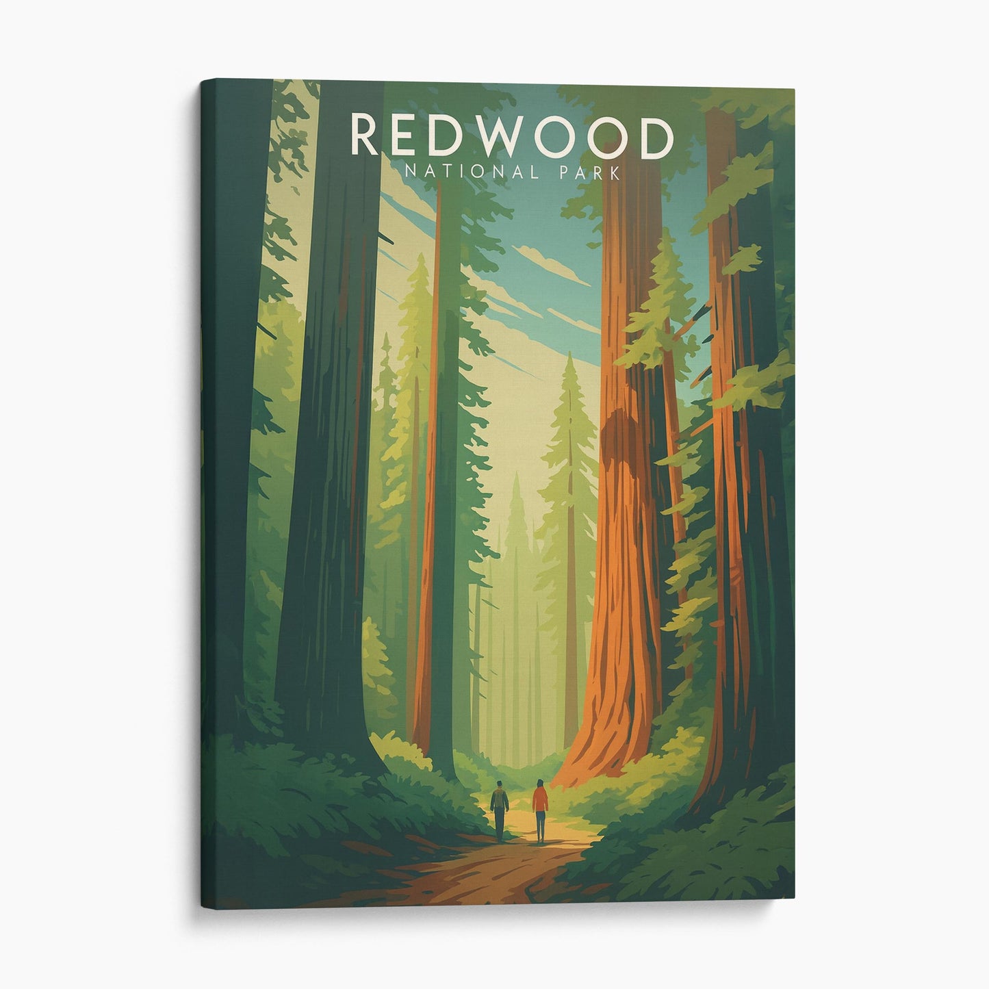 Redwood National Park California Travel Poster