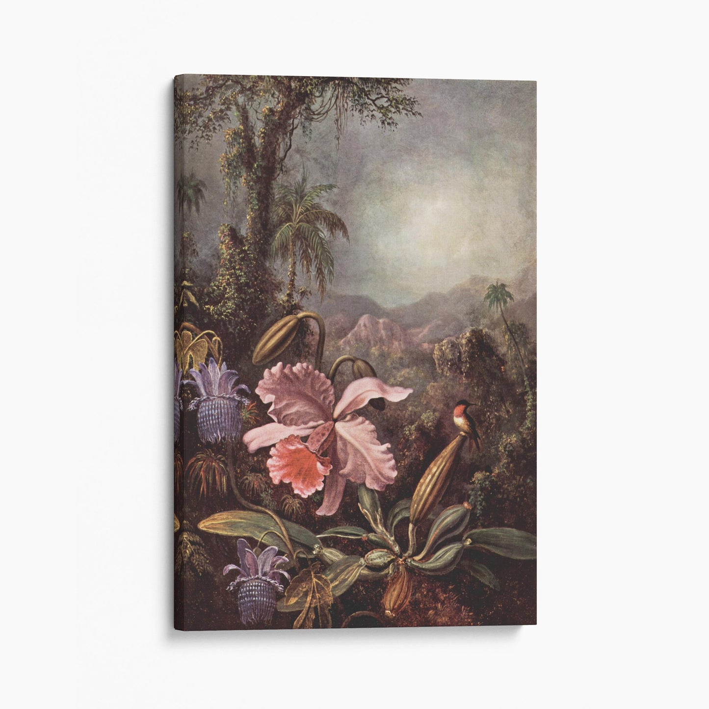 Orchids Passion Flowers And Hummingbird - Martin Johnson Heade