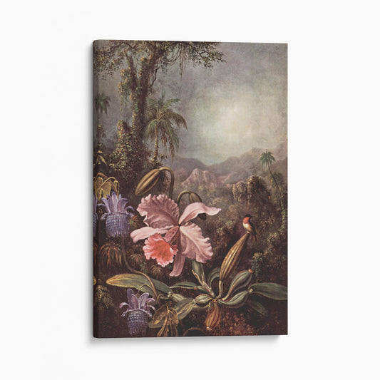 Orchids Passion Flowers And Hummingbird - Martin Johnson Heade
