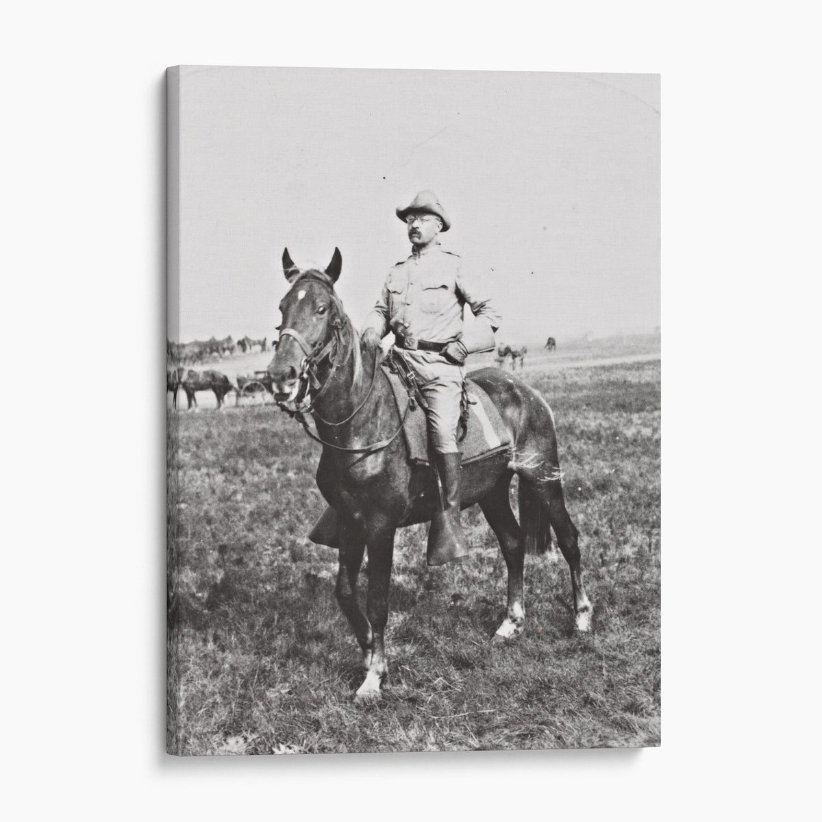 Theodore Roosevelt of the Rough Riders