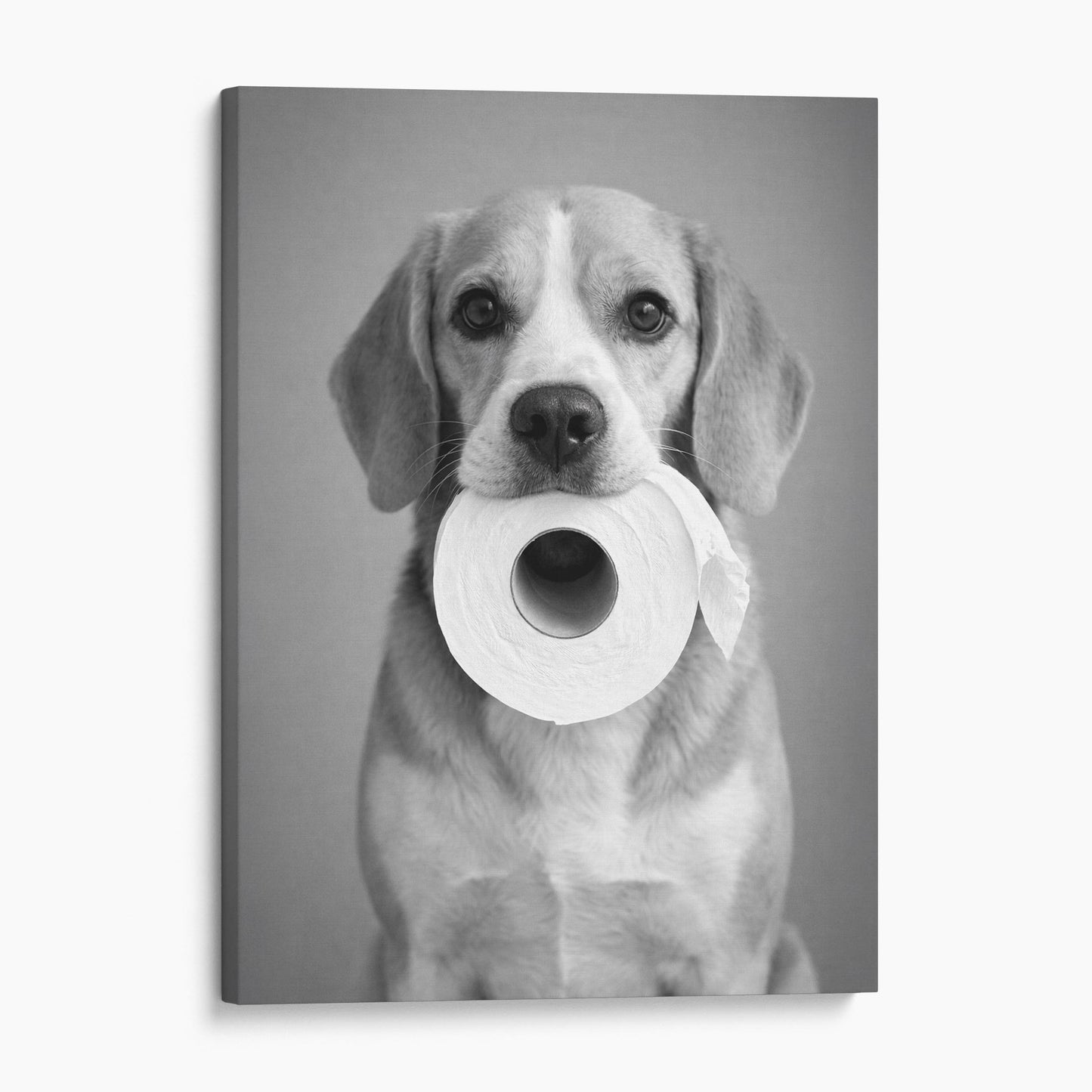 Beagle Dog Toilet Paper