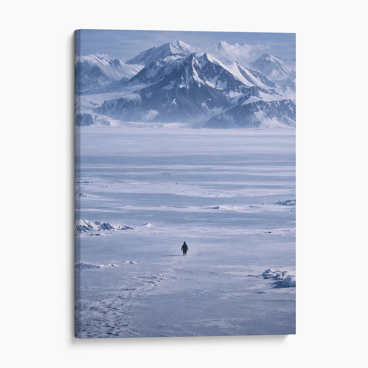 The Lone Penguin