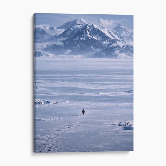 The Lone Penguin