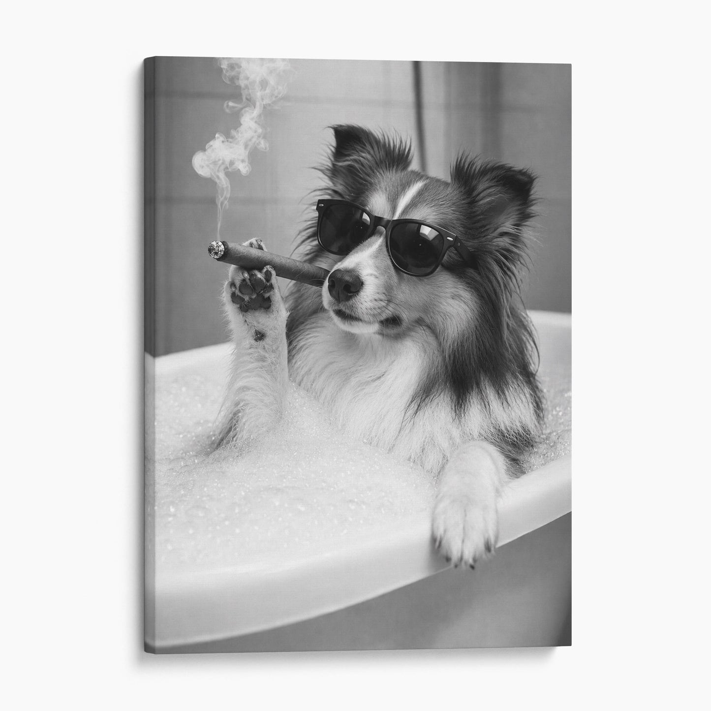 Shetland Sheepdog Bathtub Cigar