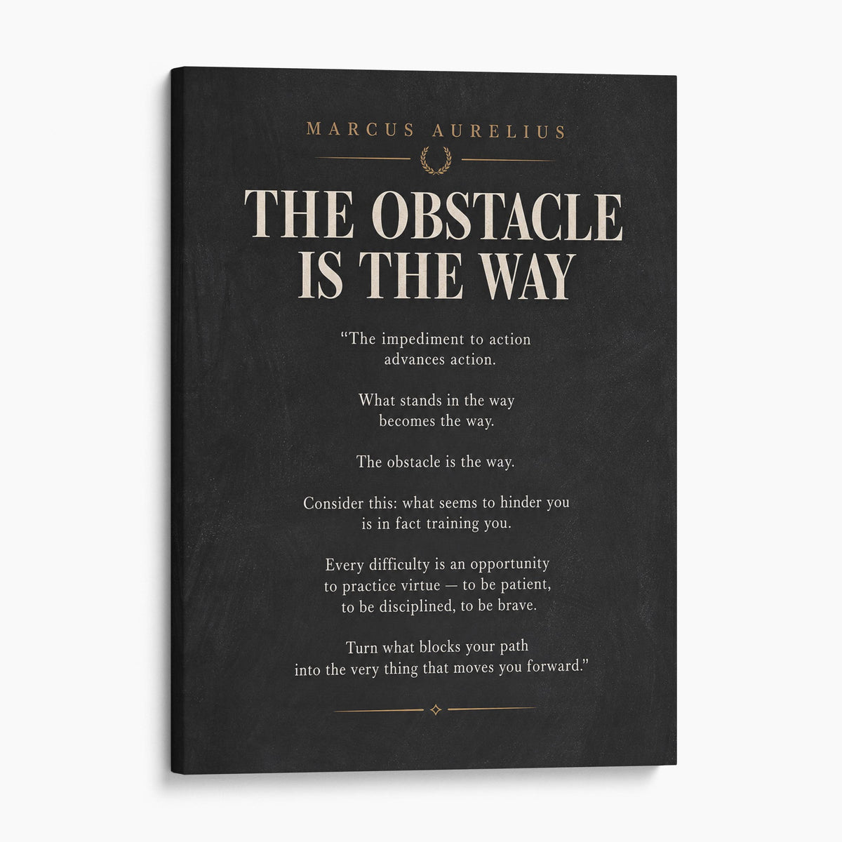 The Obstacle Is The Way - Marcus Aurelius