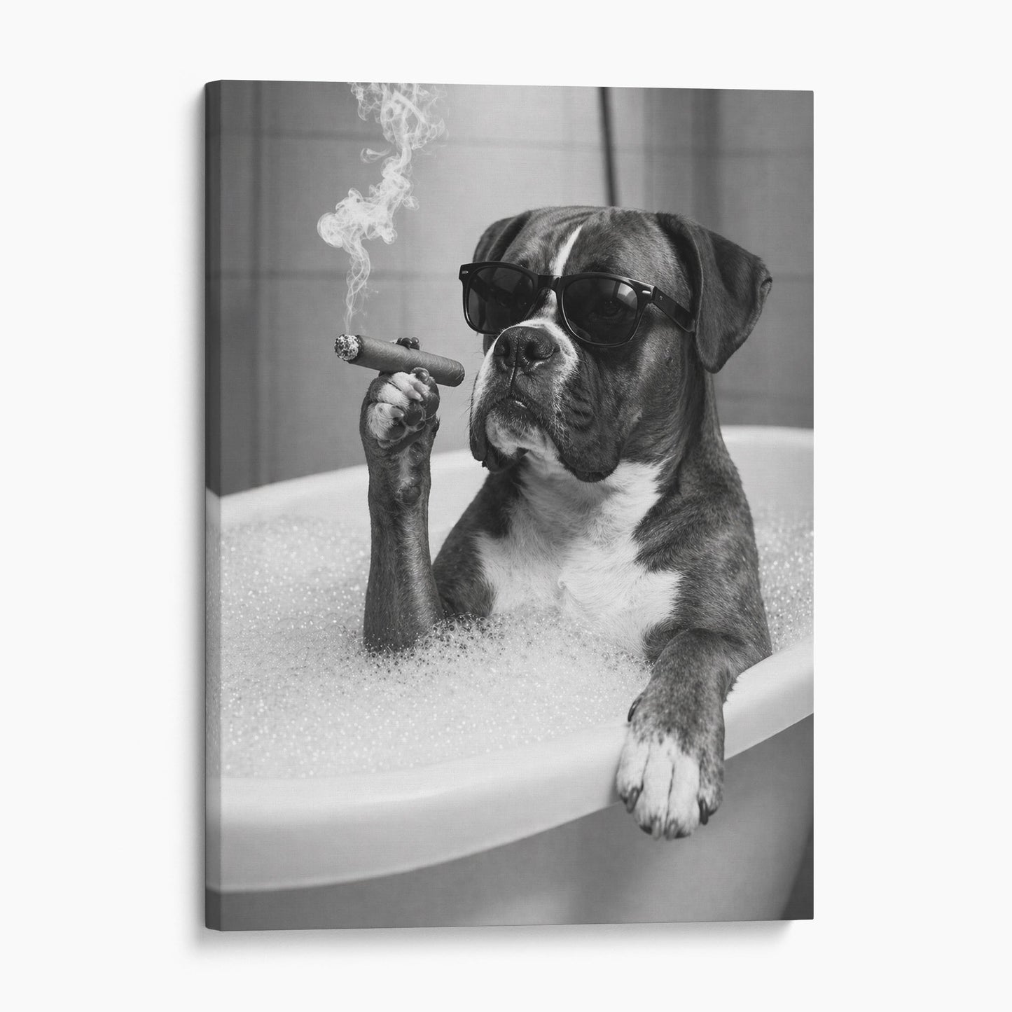 Boxer Dog Bathtub Cigar