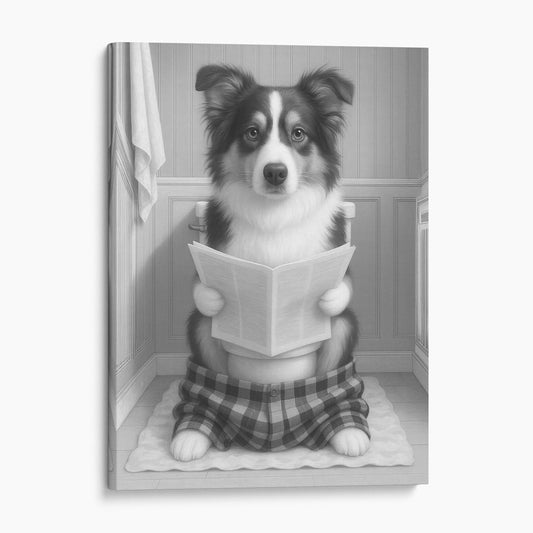 Australian Shepherd Dog Reading The Newspaper On The Toilet