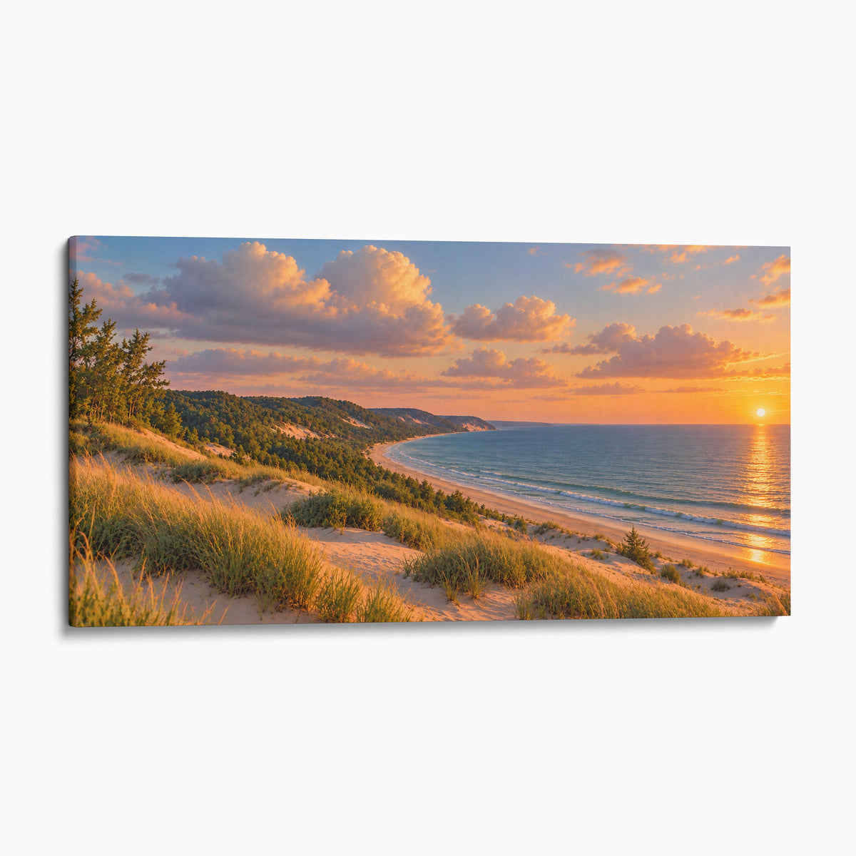 Michigan Lake Dunes