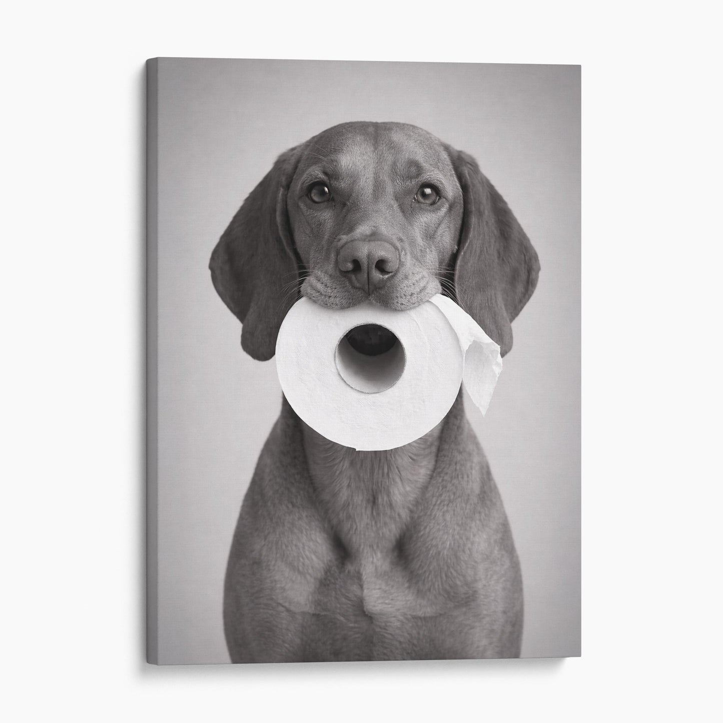 Vizsla Dog Toilet Paper