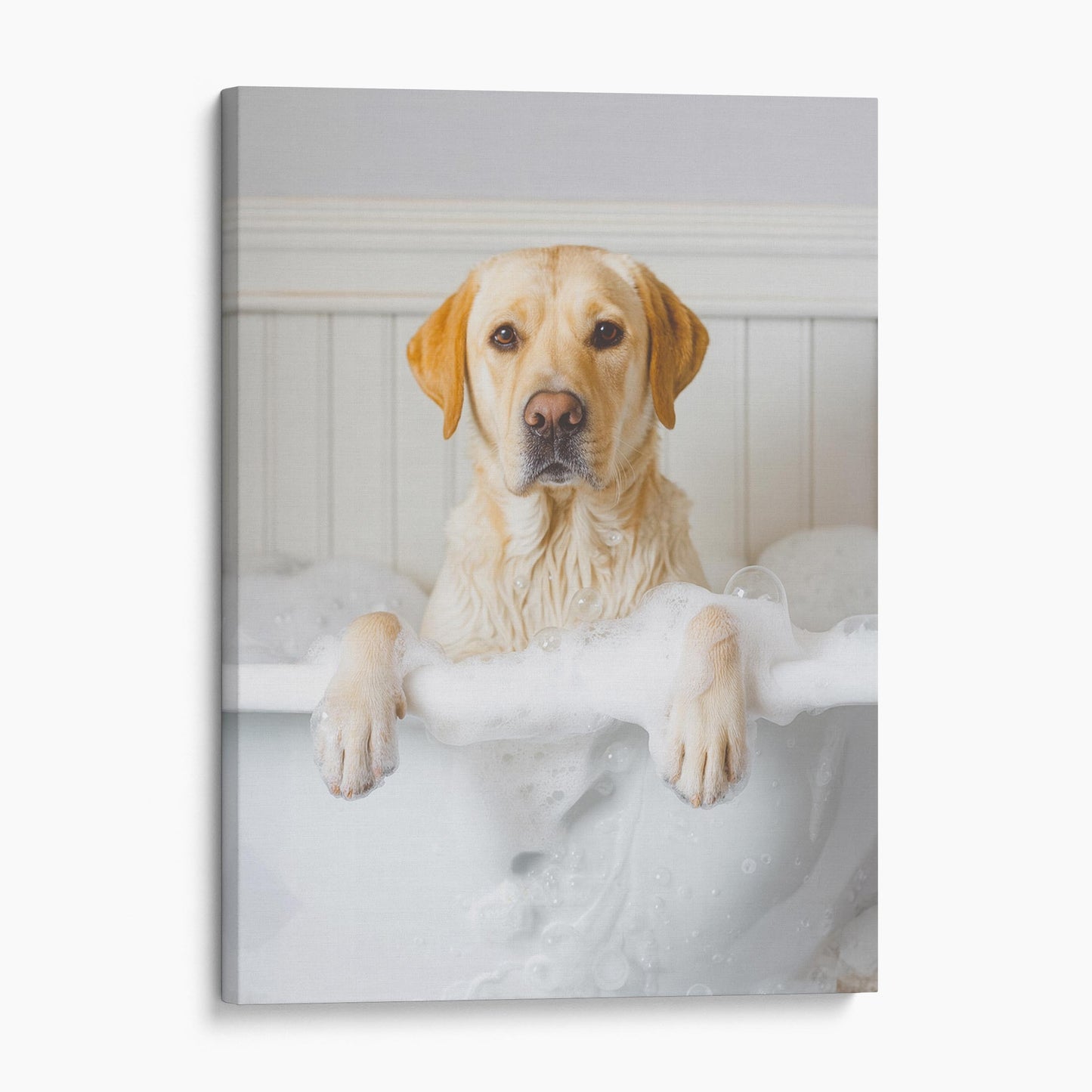 Yellow Labrador Retriever Dog Bubble Bath