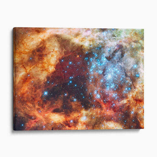 R136 Star Cluster (NASA Hubble Space Telescope)