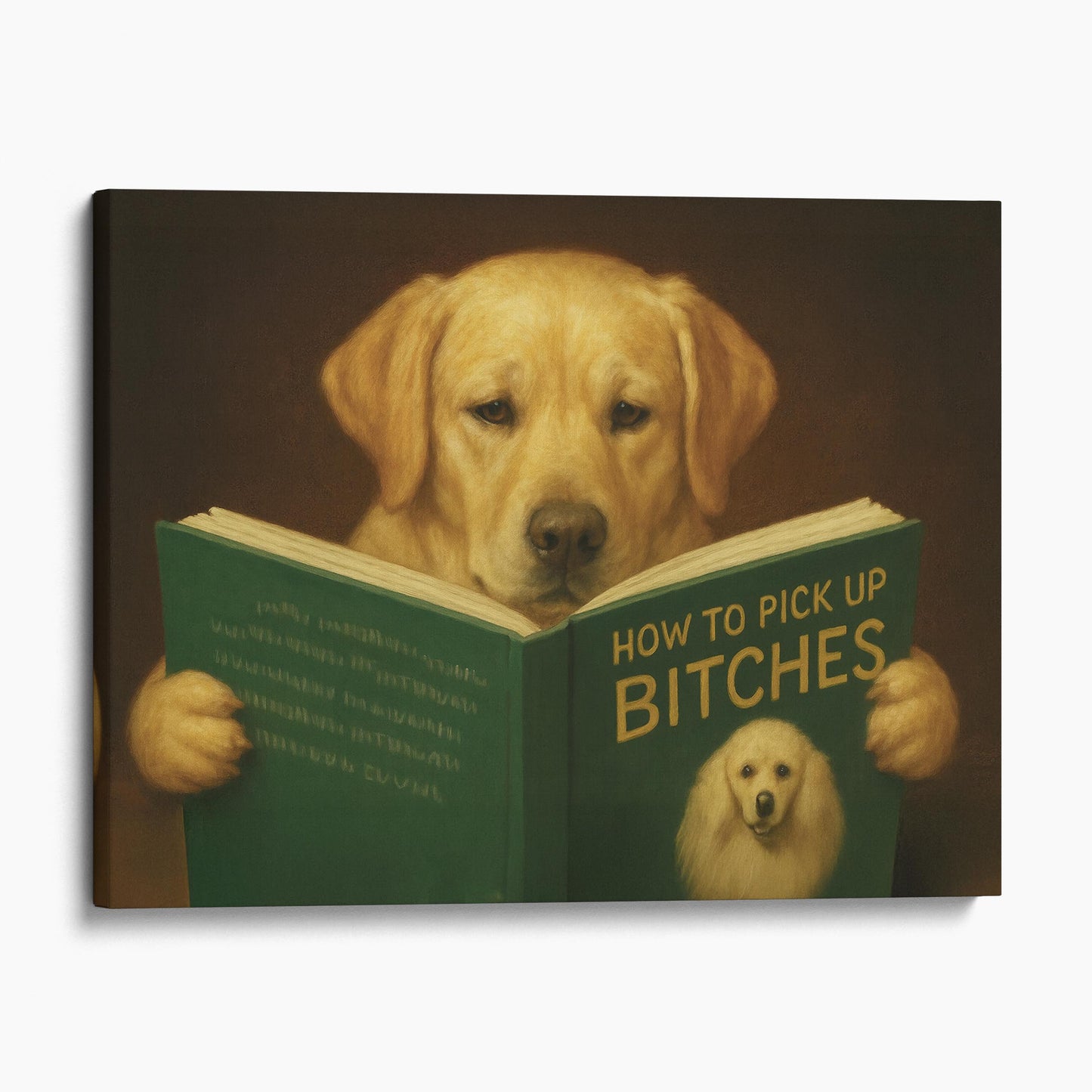Yellow Labrador Dog Reading Dating Book