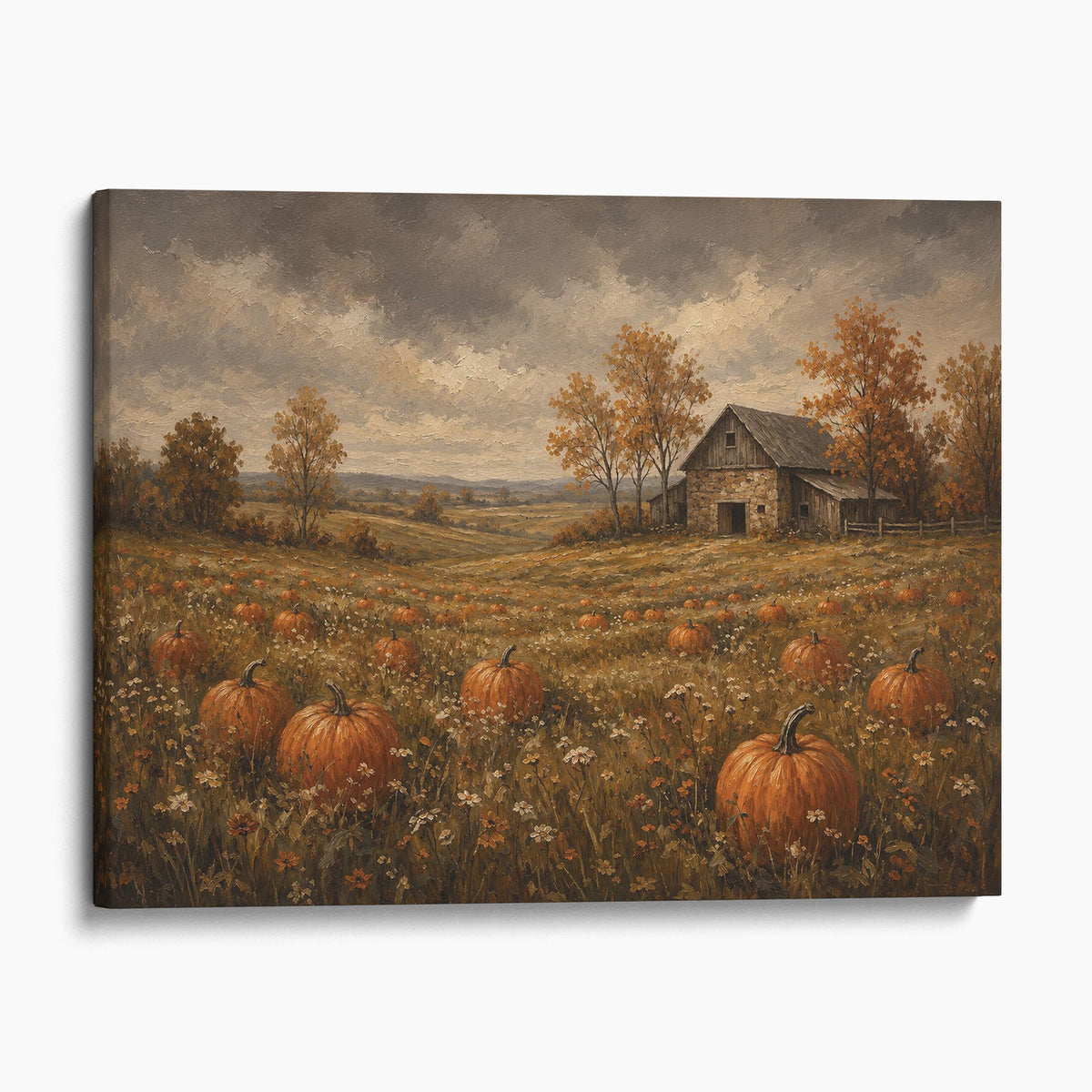 Pumpkin Patch Field