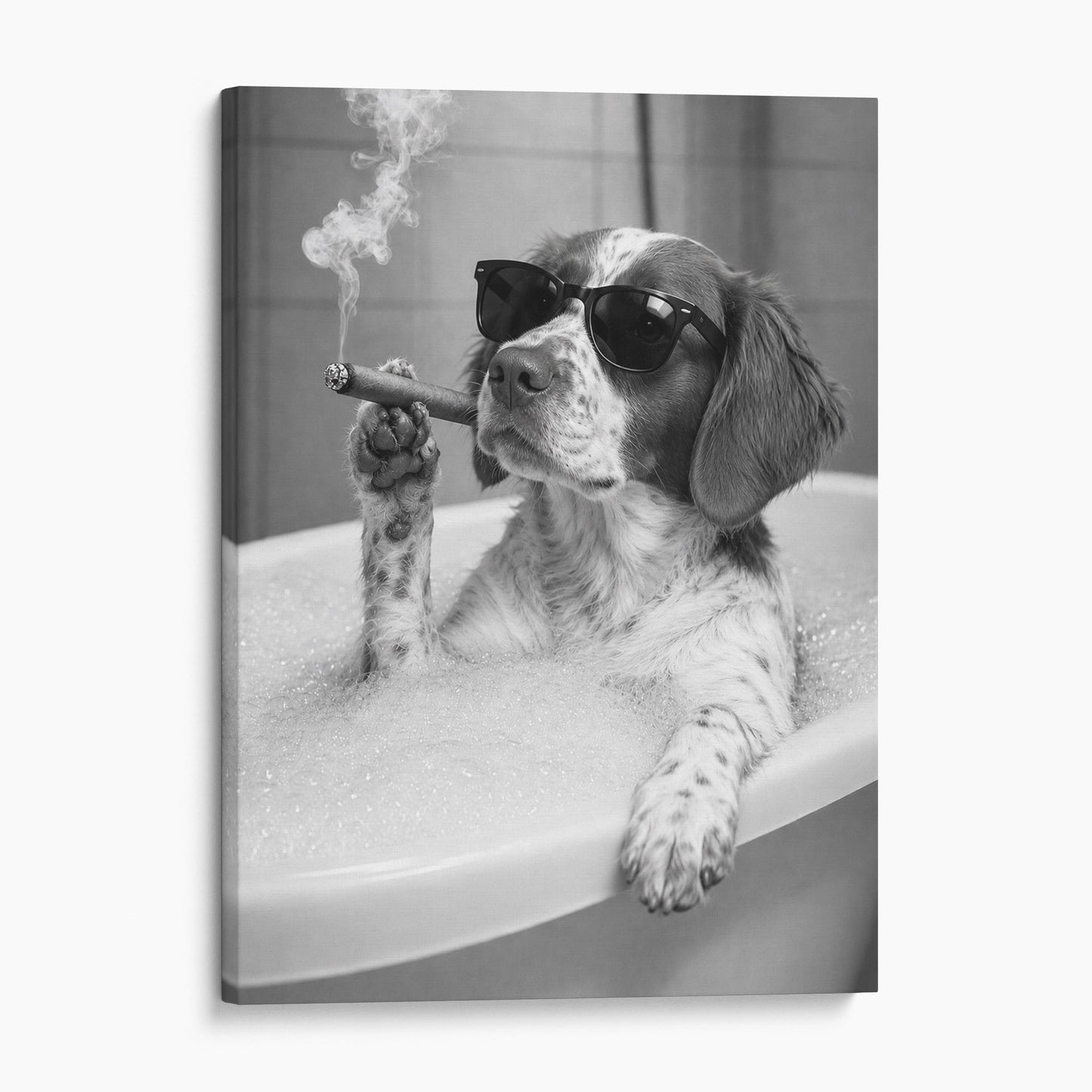Brittany Dog Bathtub Cigar