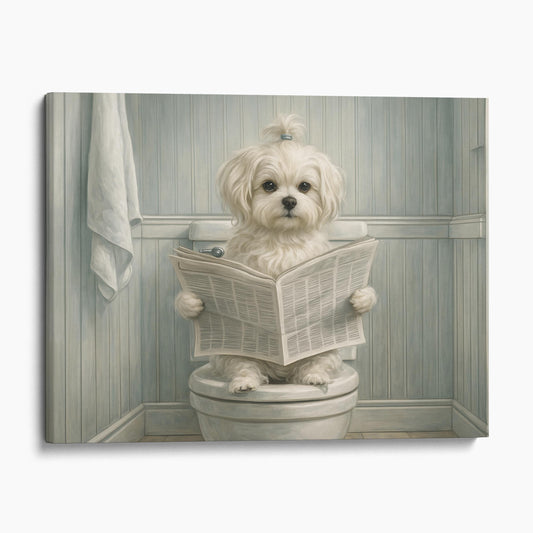 Maltese Dog Reading The Newspaper On The Toilet