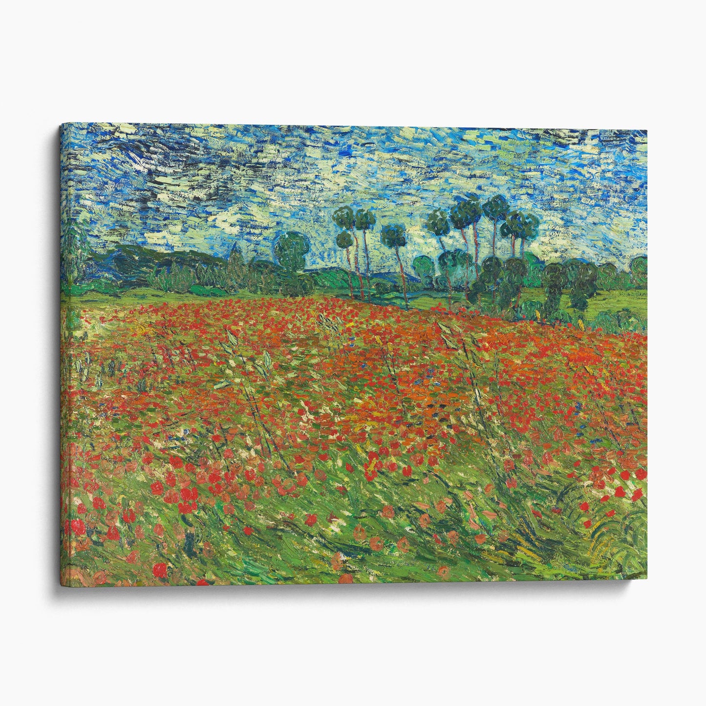 Poppy Field, 1890 by Van Gogh