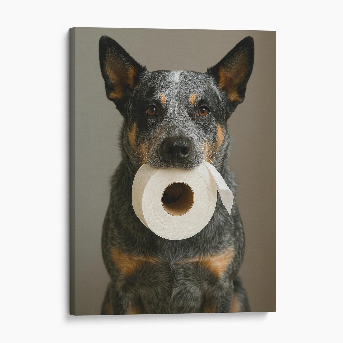 Australian Cattle Dog Toilet Paper