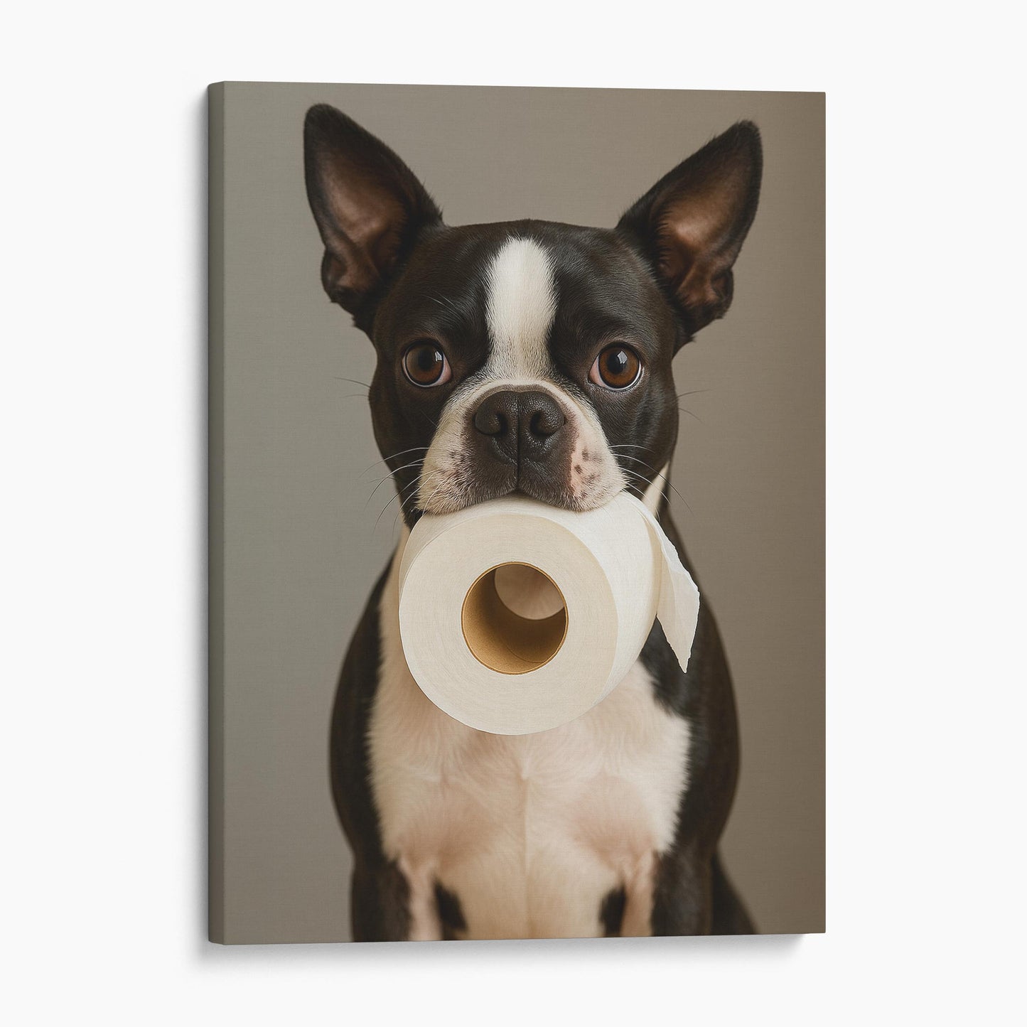 Boston Terrier Dog Toilet Paper