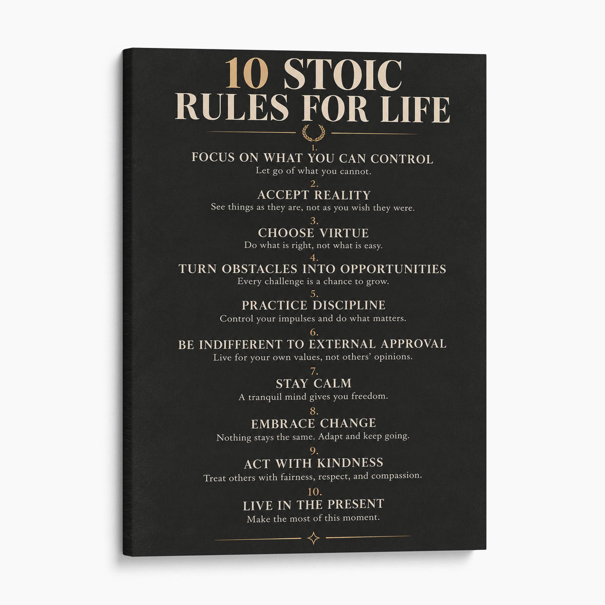 10 Stoic Rules For Life