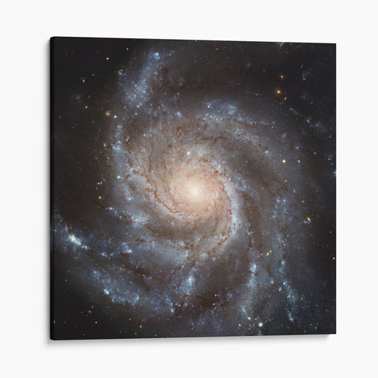 Spiral Galaxy - Messier 101 (Pinwheel Galaxy)