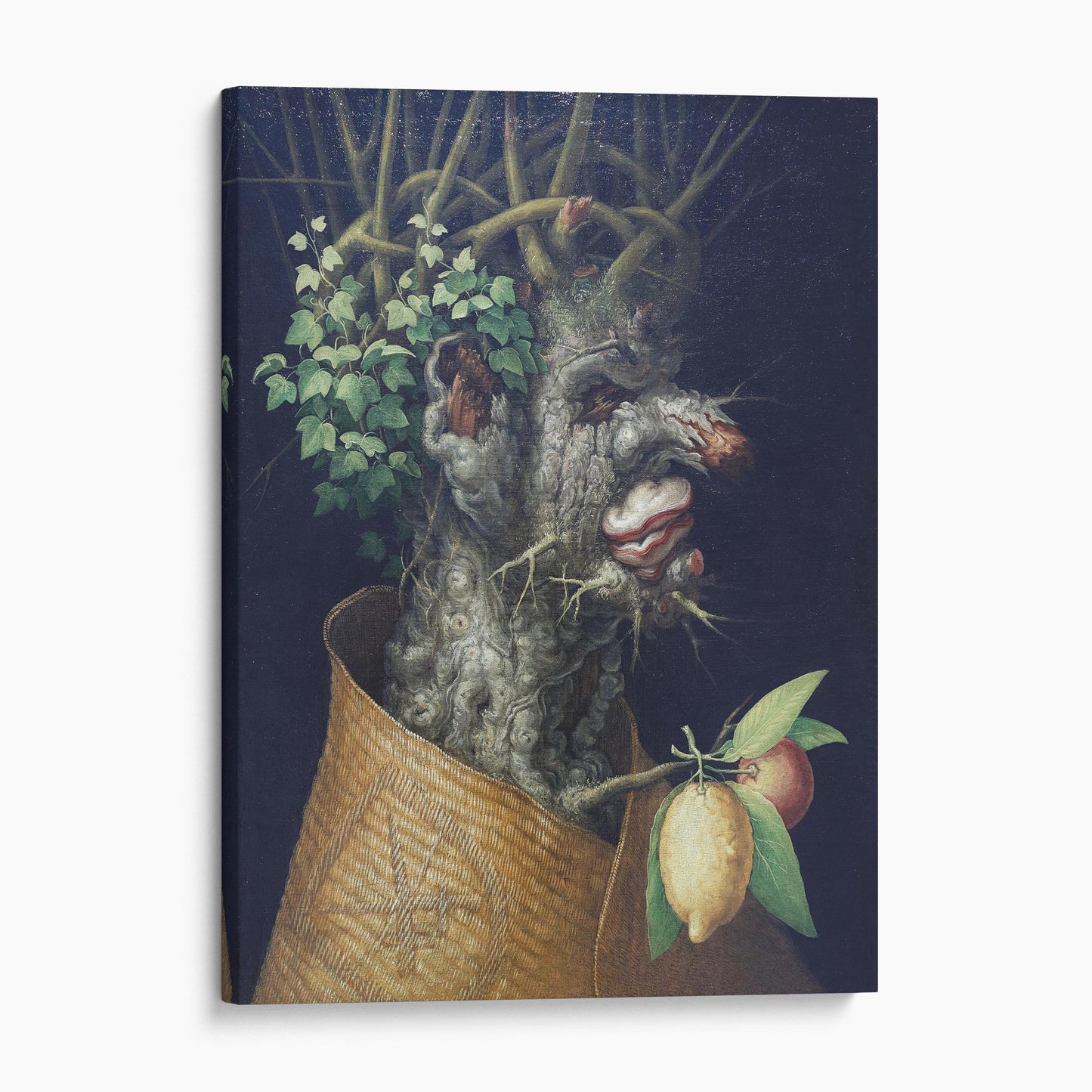 Winter - The Four Seasons by Arcimboldo