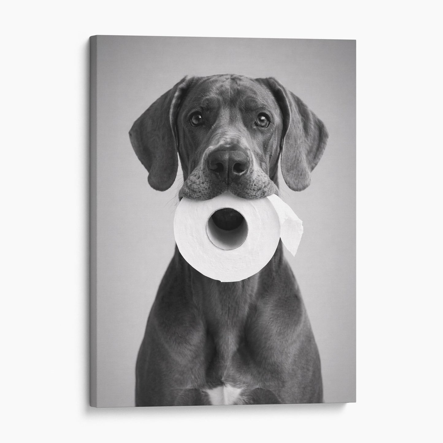 Great Dane Dog Toilet Paper