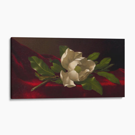 A Magnolia On Red Velvet by Martin Johnson Heade