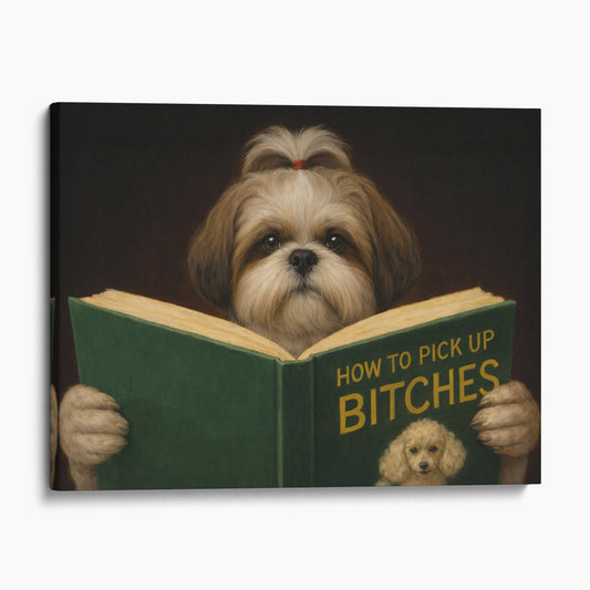 Shih Tzu Reading Dog Dating Book