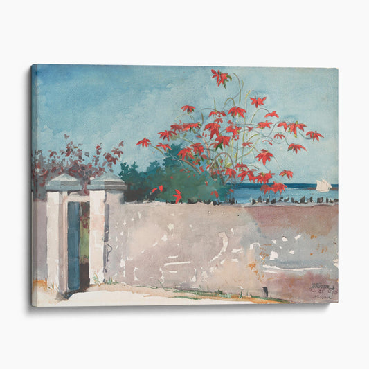 A Wall, Nassau by Winslow Homer