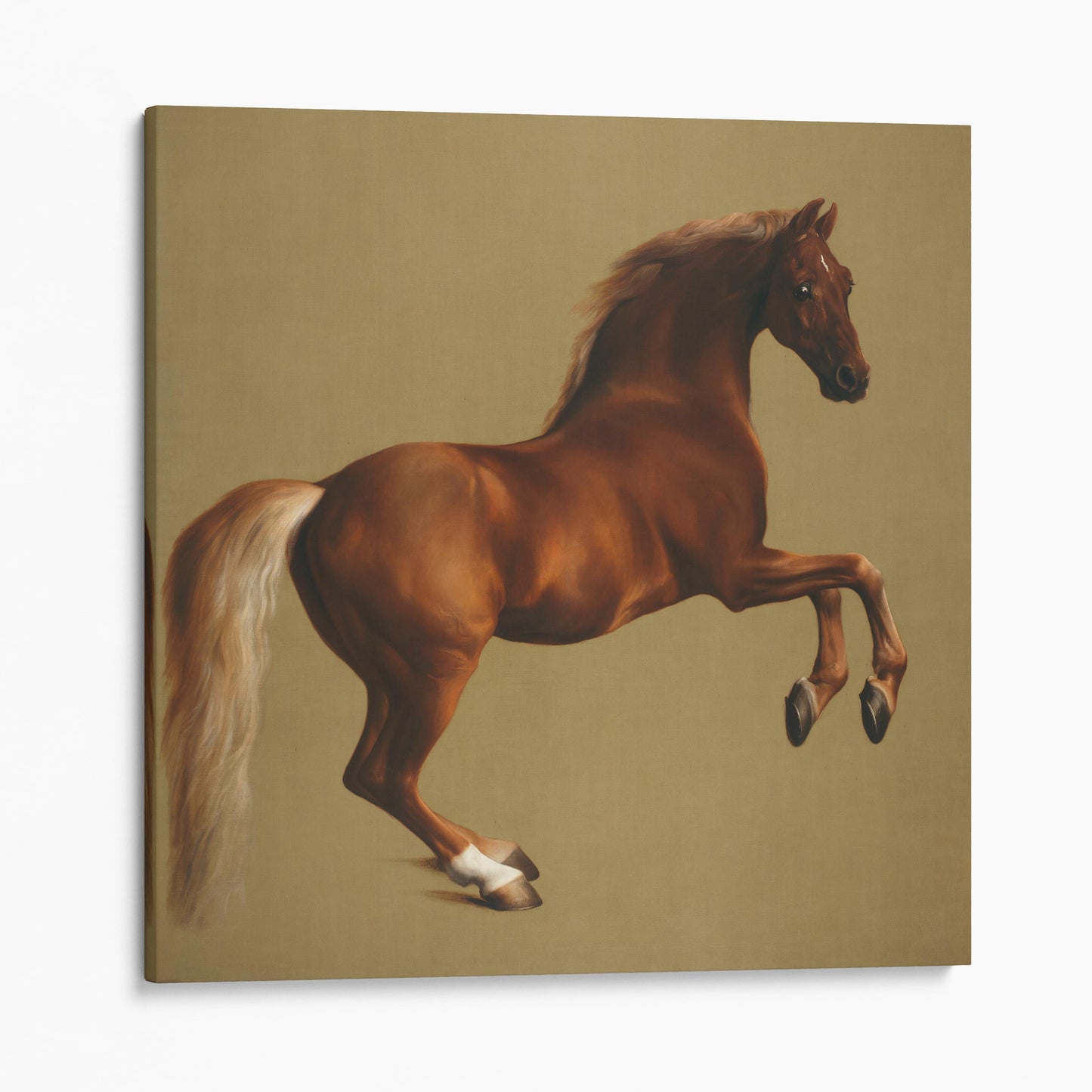 Whistlejacket by George Stubbs