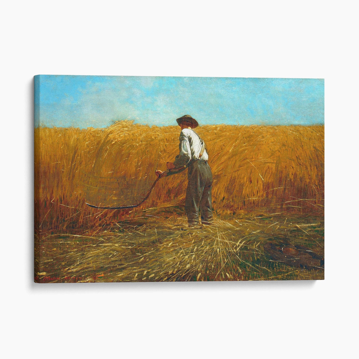 The Veteran In A New Field by Winslow Homer