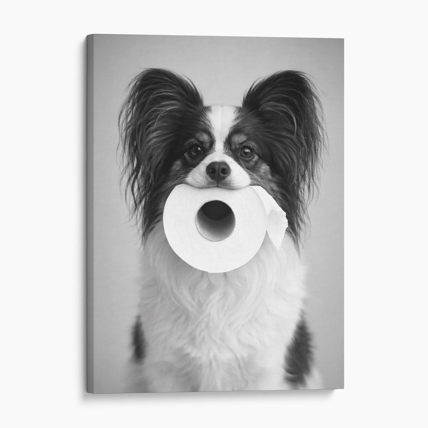 Papillon Dog Toilet Paper