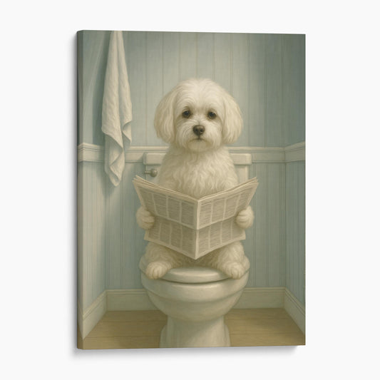 Maltese Dog On The Toilet Reading The Newspaper