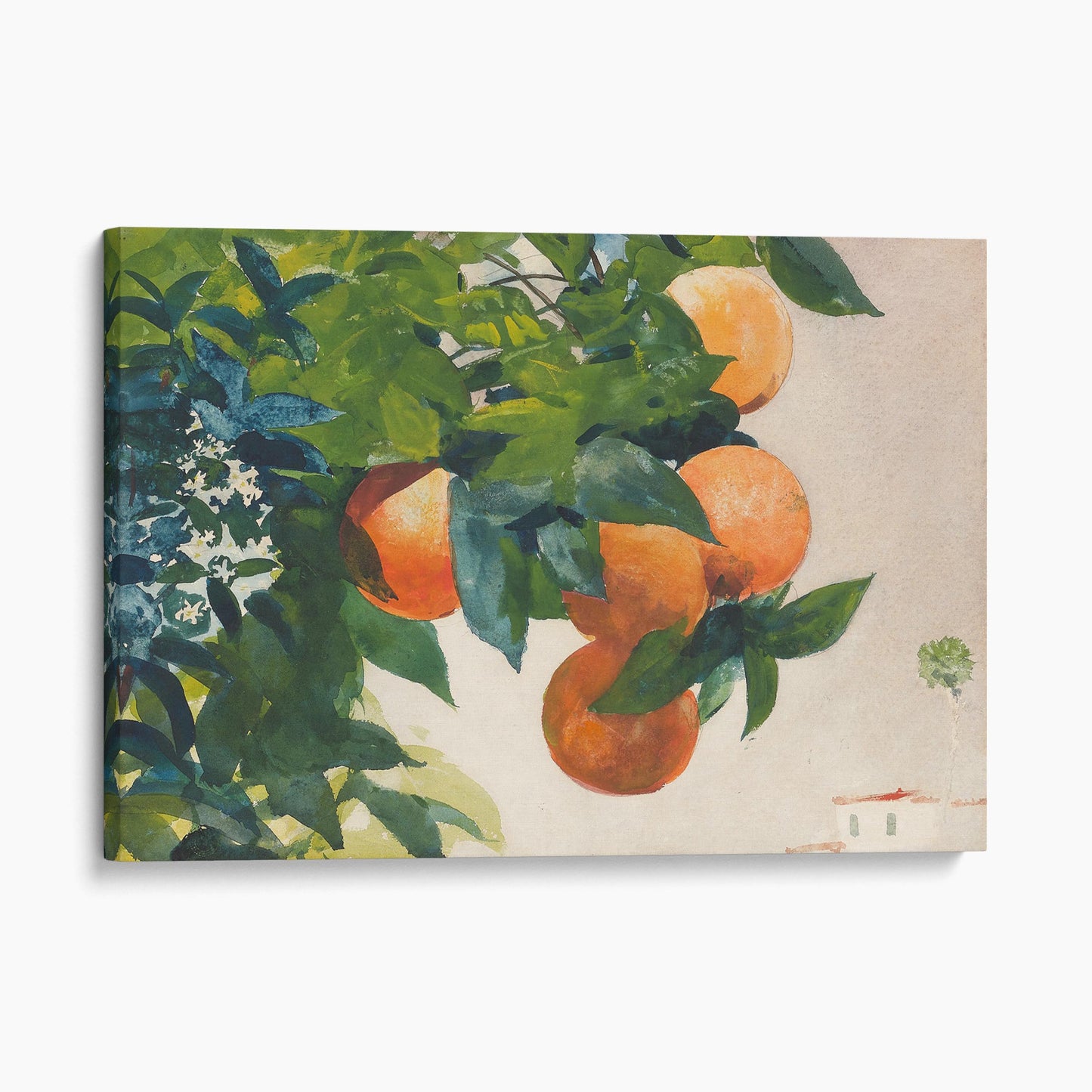 Oranges on a Branch, 1885 - Winslow Homer