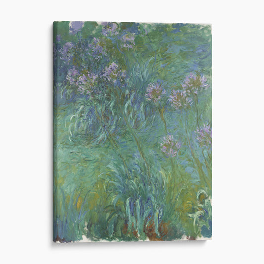 Agapanthus (1914) by Claude Monet