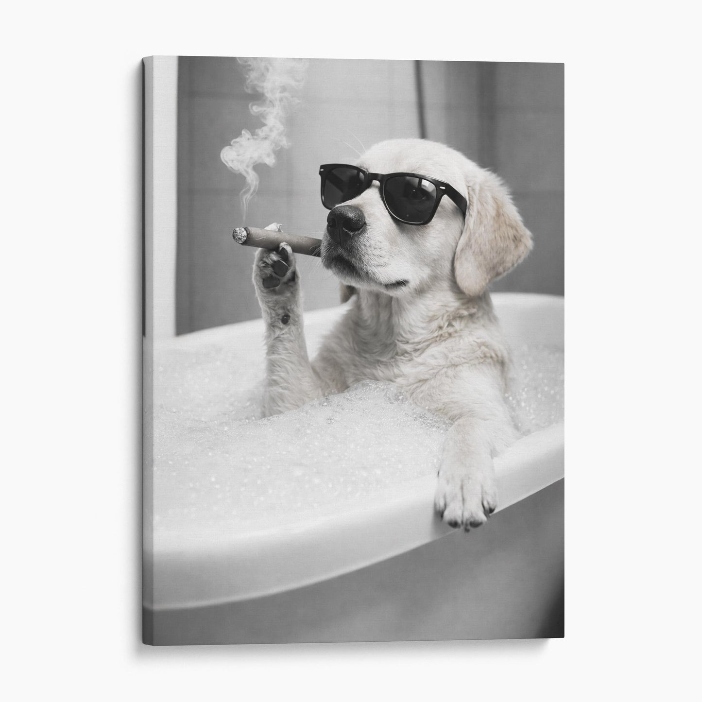 Yellow Labrador Dog Bathtub Cigar