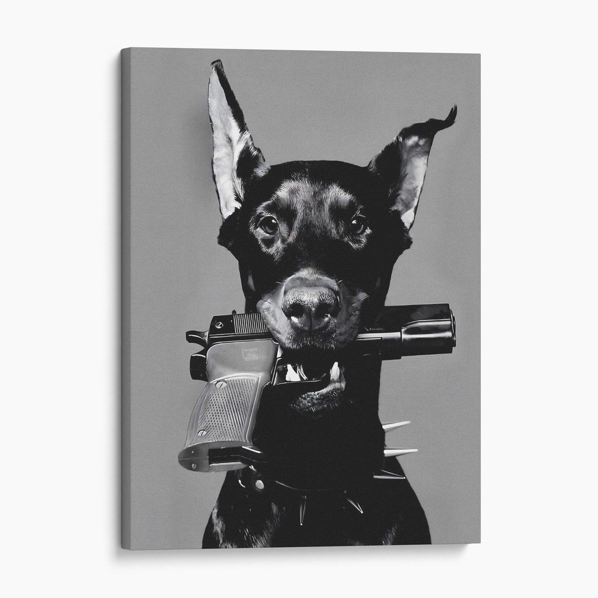 Doberman Gun In Mouth
