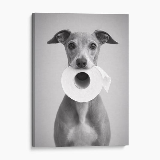 Italian Greyhound Dog Toilet Paper