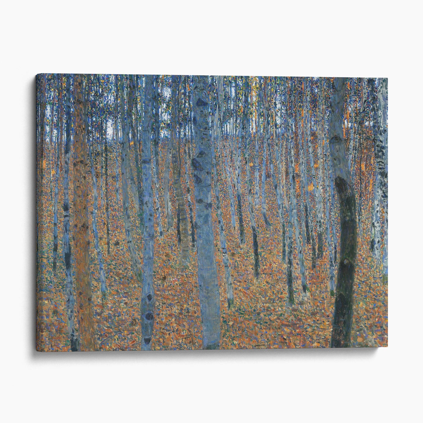 Buchenwald 1 (Beech Grove 1) by Gustav Klimt