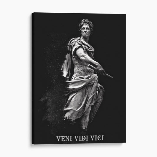 Julius Caesar I Came, I Saw, I Conqured - Veni, Vidi, Vici
